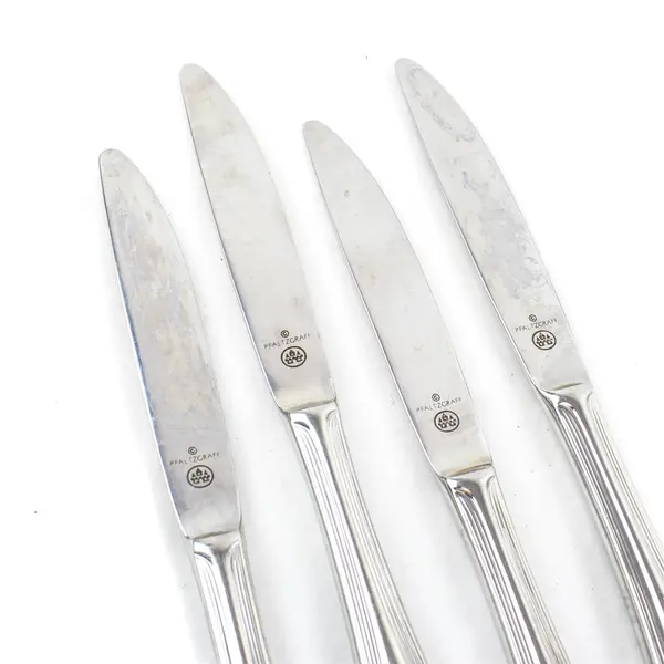 Lot of 4 Pfaltzgraff Fairisle Stainless Steel 8" Dinner Knives