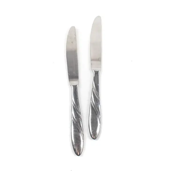 Lot of 2 Pfaltzgraff Crosscreek Stainless Steel Dinner Knives 8.5"