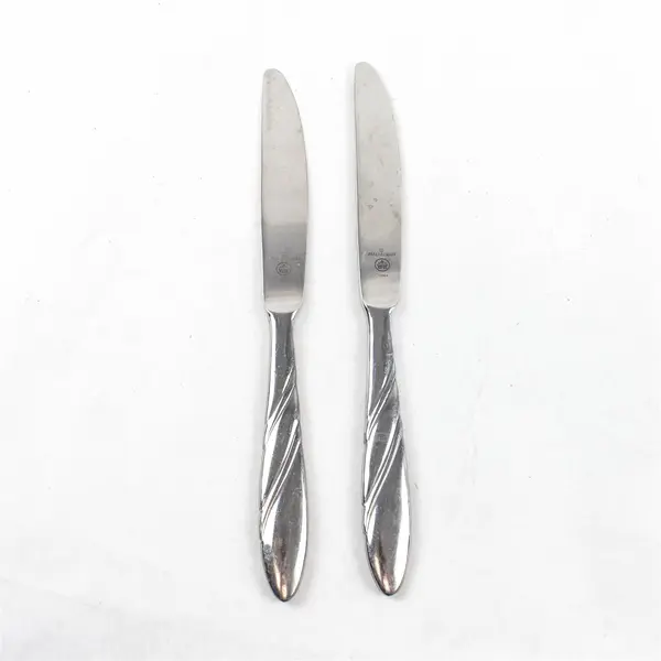 Lot of 2 Pfaltzgraff Crosscreek Stainless Steel Dinner Knives 8.5"