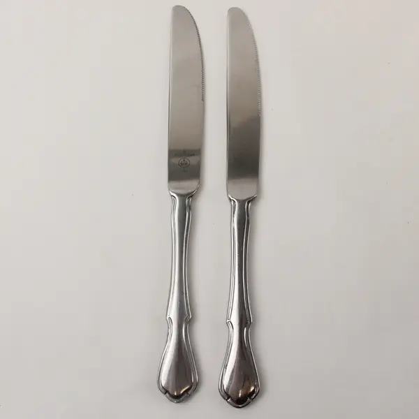 Lot of 2 Pfaltzgraff Briarwood Stainless Steel 8.5" Dinner Knives