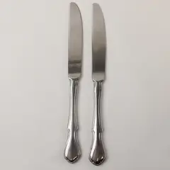 Lot of 2 Pfaltzgraff Briarwood Stainless Steel 8.5" Dinner Knives