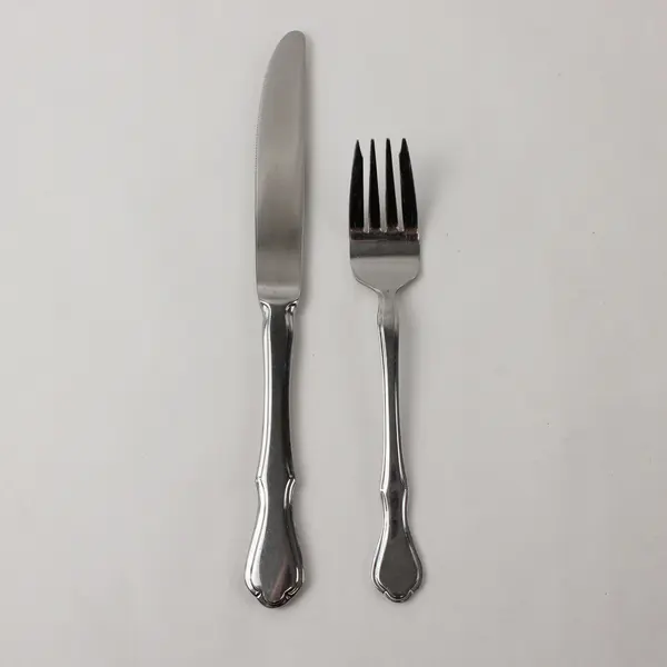 Lot of 2 Pfaltzgraff Briarwood Stainless Steel 8.5" Knife & 6.5" Salad Fork