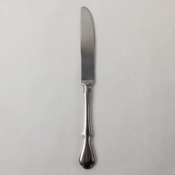 Pfaltzgraff Briarwood Stainless Steel Dinner Knife 8.5"