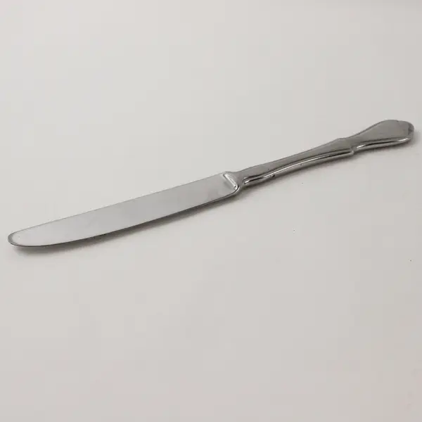 Pfaltzgraff Briarwood Stainless Steel Dinner Knife 8.5"