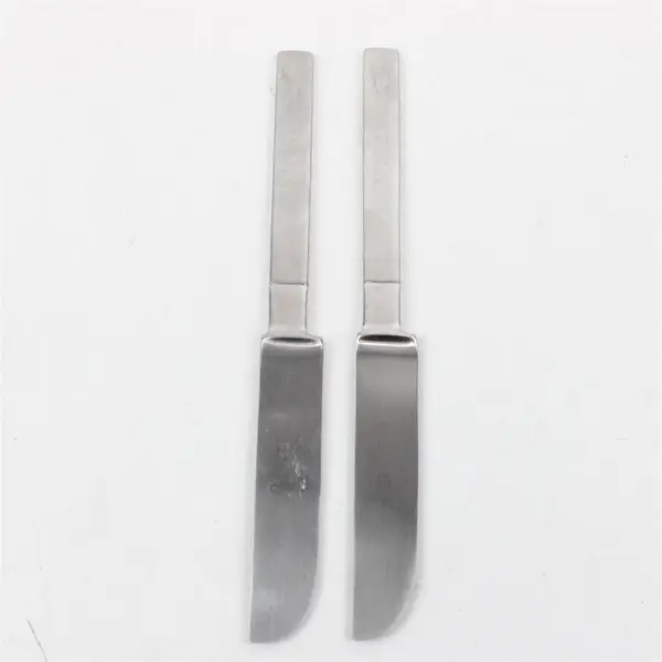 Lot of 2 Yamazaki Nobel Stainless Steel Dinner Knives 9.75"