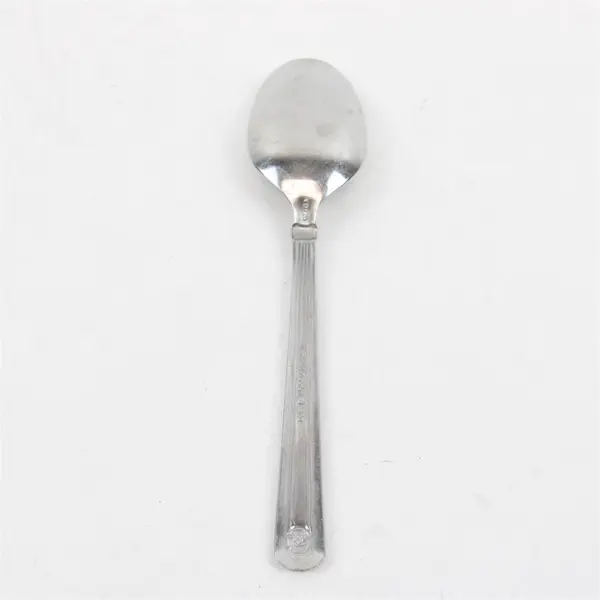 Pfaltzgraff Radiants Stainless Steel 6" Teaspoon