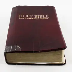 Holy Bible NIV New International Version Leather-Look Burgundy Zondervan 1986