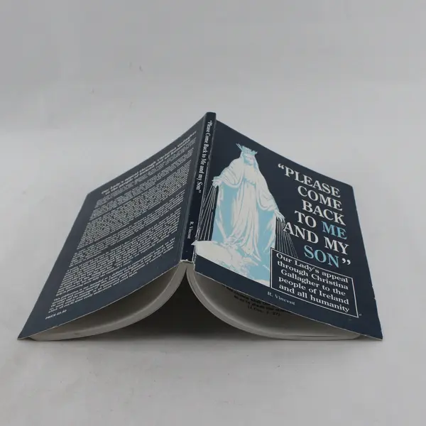 Lot of 2 Paperback Books - Please Come Back to Me and My Son; Kicking Habits