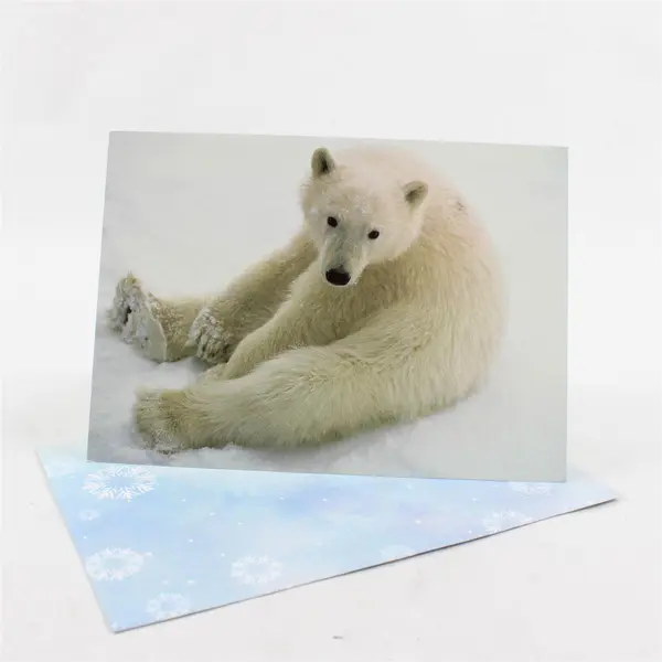 Lot of 28 Christmas Holiday Greeting Cards with Envelopes UNUSED