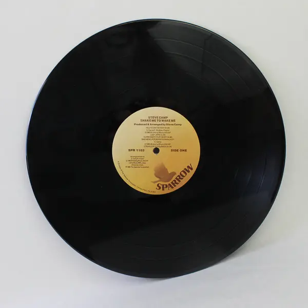 Steve Camp Shake Me to Wake Me 12" Vinyl Record