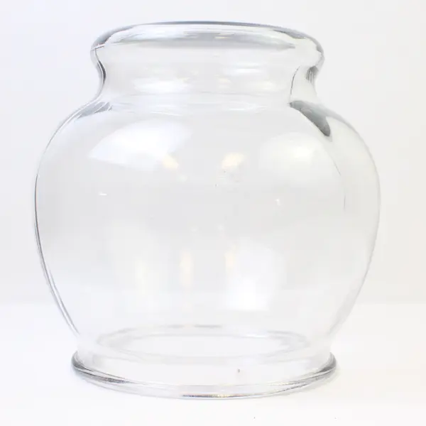 1 Gallon Footed Glass Fishbowl Round Aquarium Tank Clear Bowl