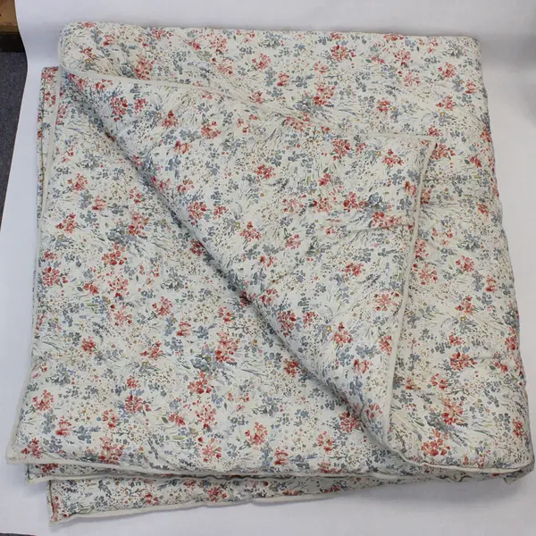 Lot Of 2 Ralph Lauren Melanie Floral Pattern Queen Size Comforter & Pillow Sham