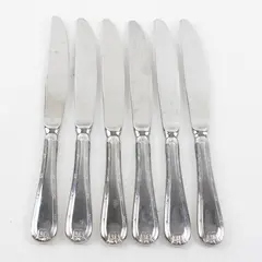 Lot Of 6 Mikasa Brand Laura (Stainless) Pattern Flatware Dinner Knives 10" Long