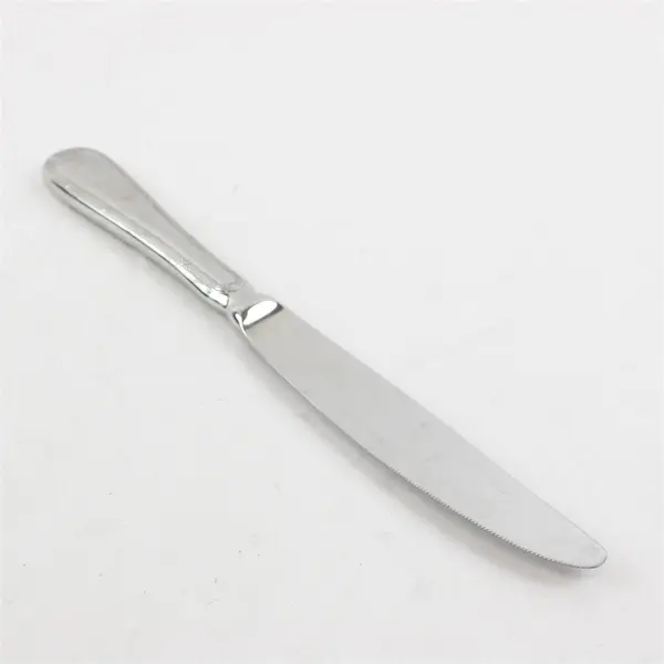 Lot Of 6 Mikasa Brand Laura (Stainless) Pattern Flatware Dinner Knives 10" Long
