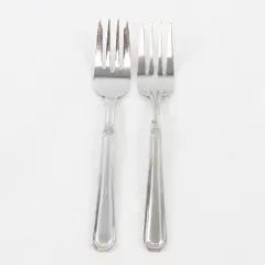 Lot of 2 Pfaltzgraff Satin Providence 18/8 Salad Forks