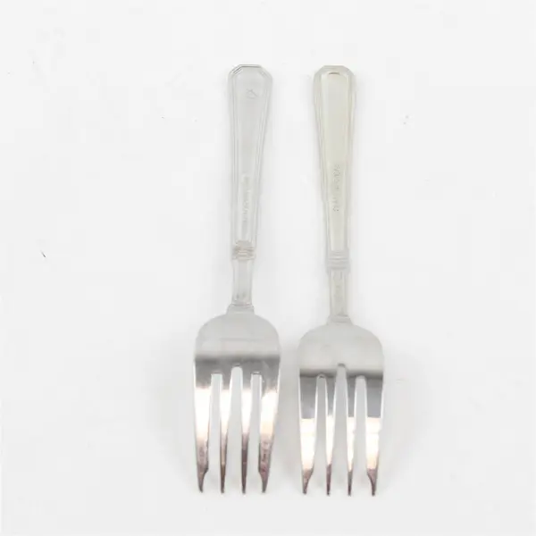 Lot of 2 Pfaltzgraff Satin Providence 18/8 Salad Forks