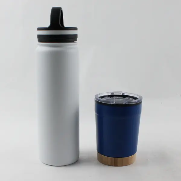 Lot of 2 Stainless Steel Water Bottles Willamette Valley Medical & Georgia Tech