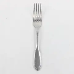 Retroneu Capri Stainless Steel 8" Dinner Fork