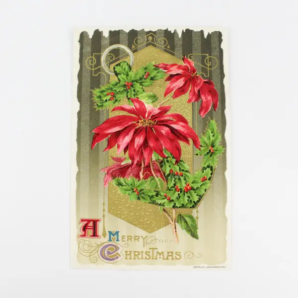 Vintage 1910 A Merry Christmas Poinsettia John Winsch Embossed Postcard