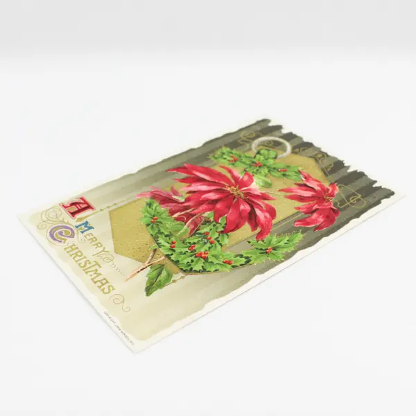 Vintage 1910 A Merry Christmas Poinsettia John Winsch Embossed Postcard