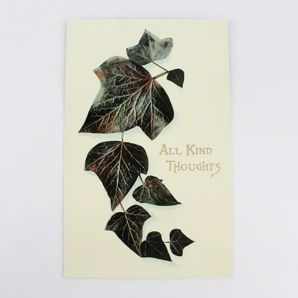 Lot Of 2 The Rose Co Greeting Card Postcards All Kind Thoughts Best Wishes