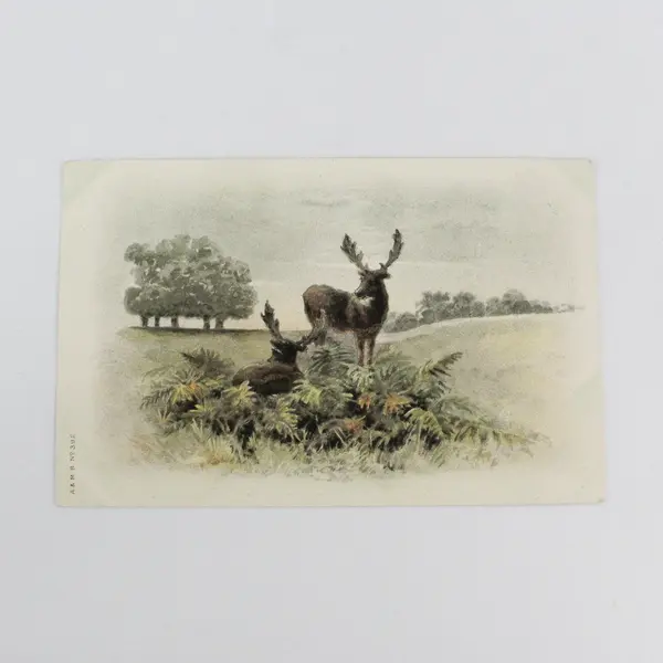 Vintage Early 1900s Two Deer Undivided Back Postcard A&MB Meissner & Buch 