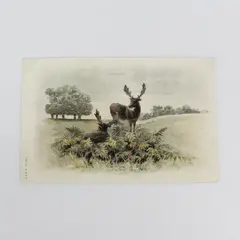 Vintage Early 1900s Two Deer Undivided Back Postcard A&MB Meissner & Buch 