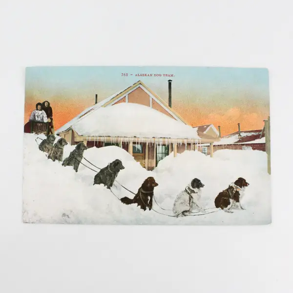 Vintage Alaskan Dog Team Litho Postcard Edward H Mitchell 761