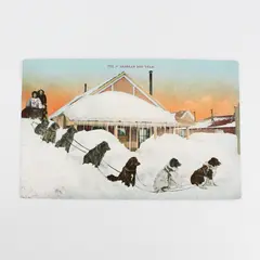Vintage Alaskan Dog Team Litho Postcard Edward H Mitchell 761