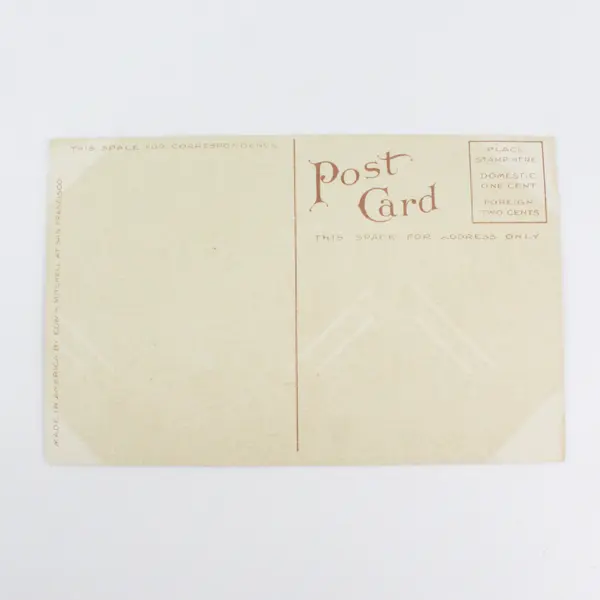 Vintage Alaskan Dog Team Litho Postcard Edward H Mitchell 761
