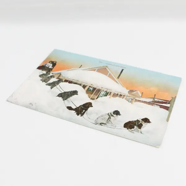 Vintage Alaskan Dog Team Litho Postcard Edward H Mitchell 761