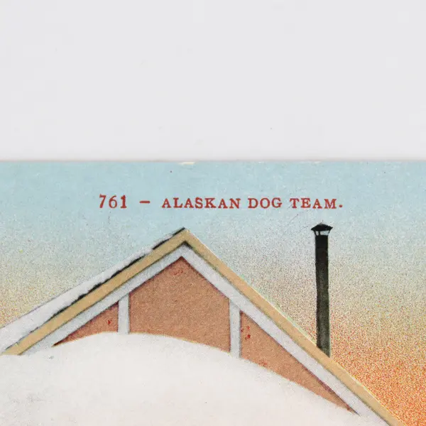 Vintage Alaskan Dog Team Litho Postcard Edward H Mitchell 761