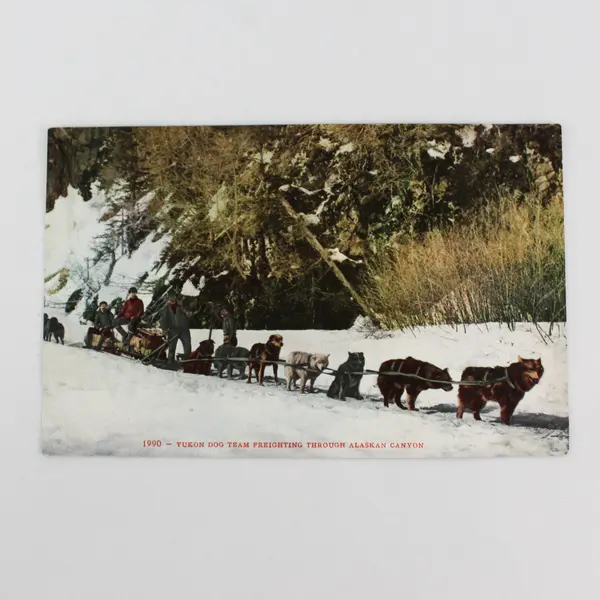 Yukon Dog Team Freighting Through Alaskan Canyon Postcard Edward H Mitchell 