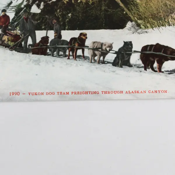 Yukon Dog Team Freighting Through Alaskan Canyon Postcard Edward H Mitchell 