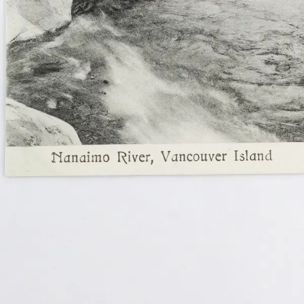 Vintage Nanaimo River Vancouver Island BC Canada Litho Postcard Bowes Drug Co