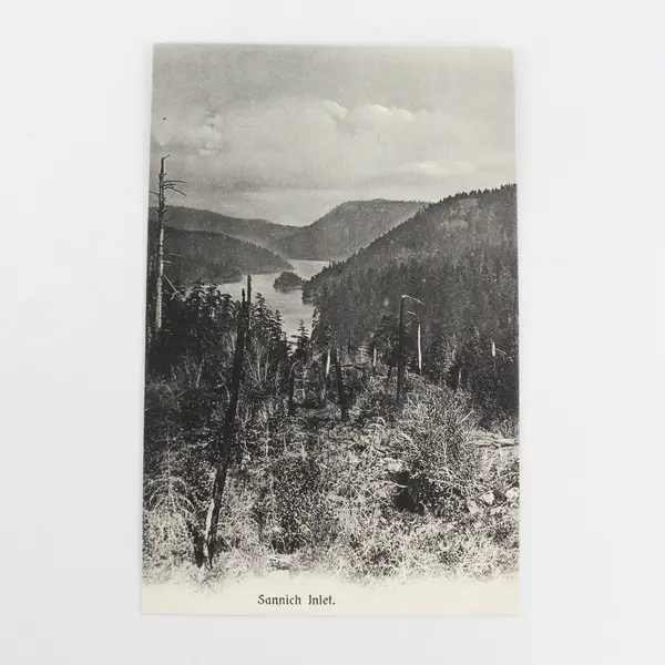 Vintage Sannich Inlet Vancouver Island BC Canada Litho Postcard 
