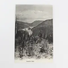 Vintage Sannich Inlet Vancouver Island BC Canada Litho Postcard 