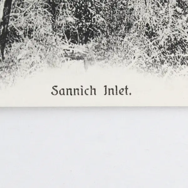 Vintage Sannich Inlet Vancouver Island BC Canada Litho Postcard 