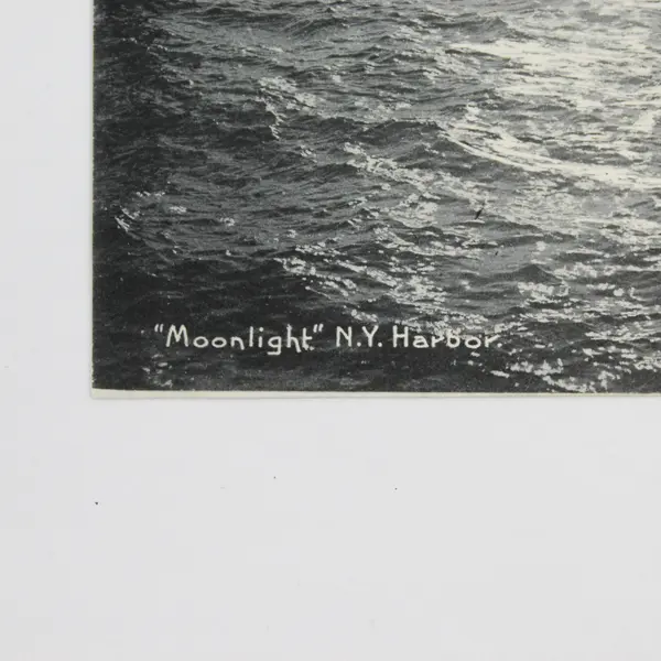 Vintage 1905 Moonlight NY Harbor Litho Postcard Rotograph
