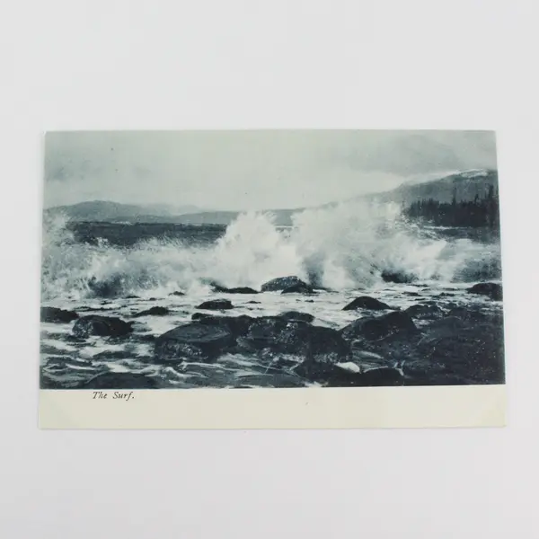 Vintage The Surf Litho Postcard Marine Series No 3806 Adolph Selige Co