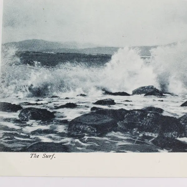 Vintage The Surf Litho Postcard Marine Series No 3806 Adolph Selige Co