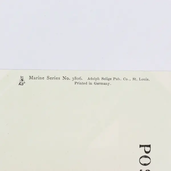 Vintage The Surf Litho Postcard Marine Series No 3806 Adolph Selige Co