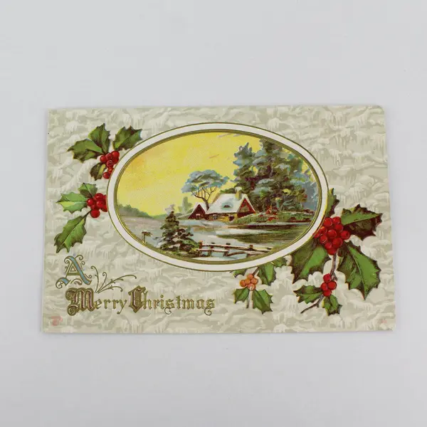 Vintage A Merry Christmas Embossed Greeting Card Postcard P Sander