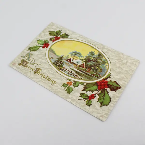 Vintage A Merry Christmas Embossed Greeting Card Postcard P Sander