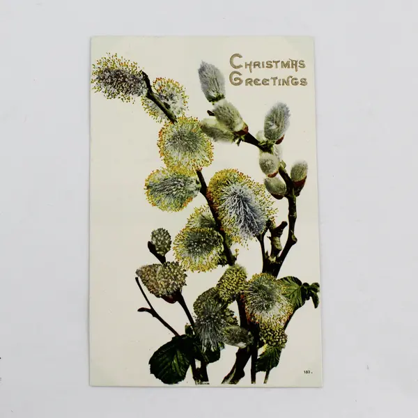 Vintage Christmas Greetings Willow Blossoms Greeting Card Postcard