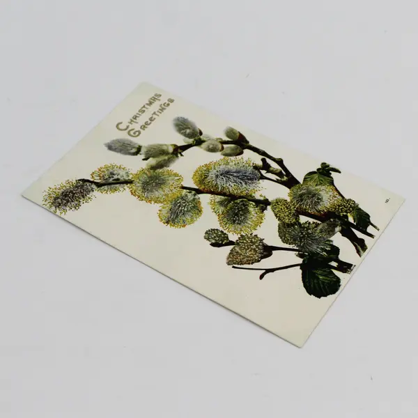 Vintage Christmas Greetings Willow Blossoms Greeting Card Postcard
