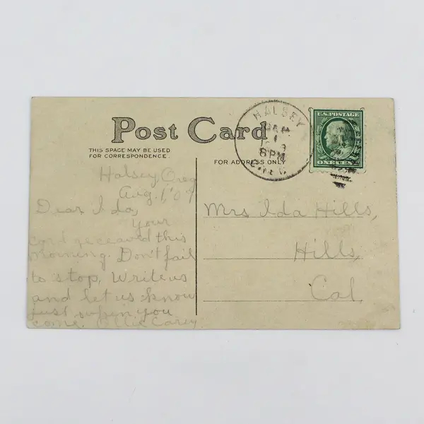 1909 Two's A Pair Art Print Color Litho Postcard Halsey Oregon Postmark