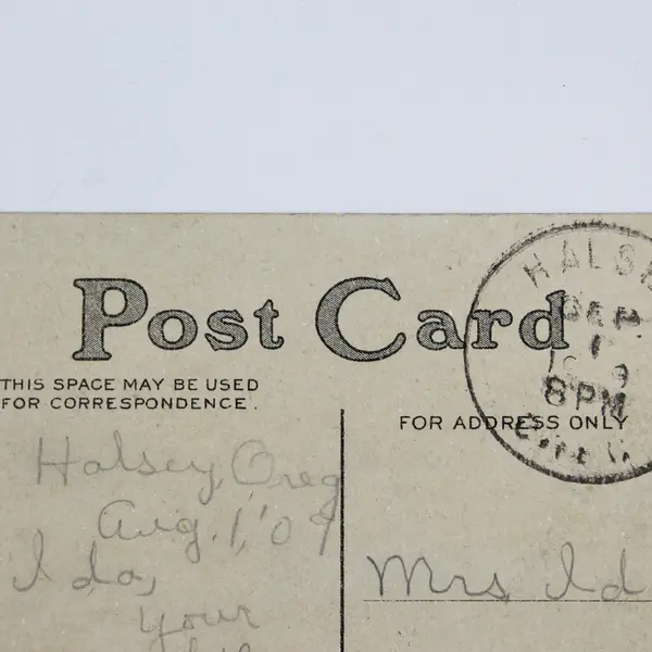 1909 Two's A Pair Art Print Color Litho Postcard Halsey Oregon Postmark