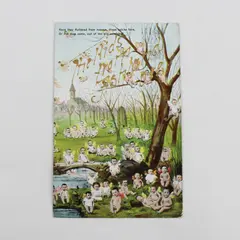 1910 Have They Fluttered From Heaven Babies With Wings Postcard Ashland Oregon