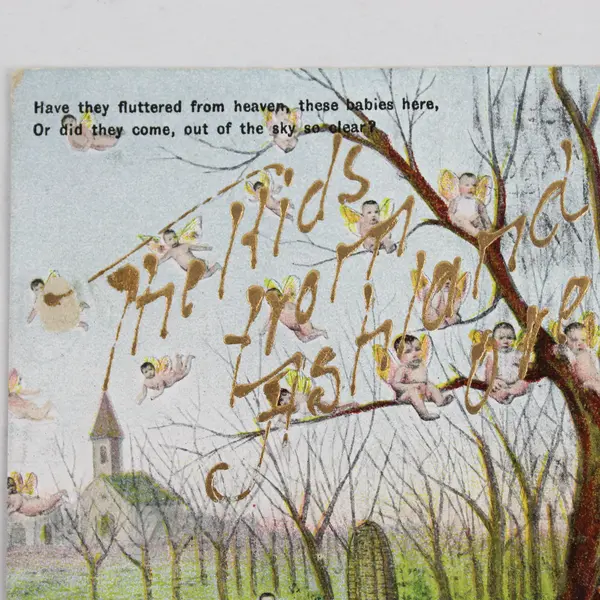 1910 Have They Fluttered From Heaven Babies With Wings Postcard Ashland Oregon